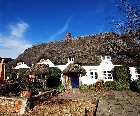 The Hatchet Inn Chute Bagian luar foto
