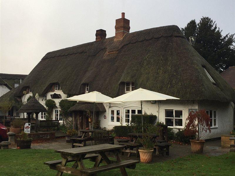 The Hatchet Inn Chute Bagian luar foto