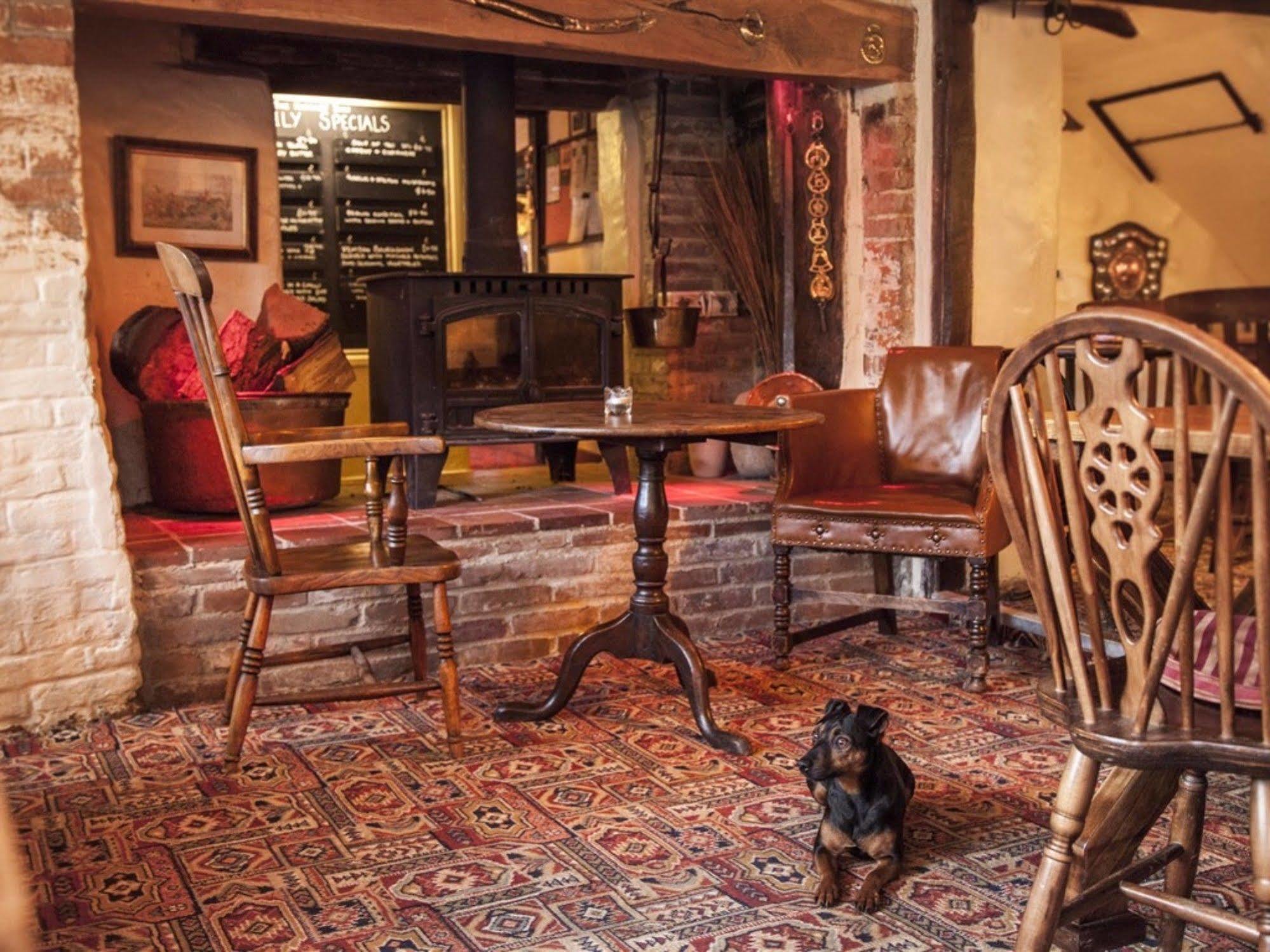The Hatchet Inn Chute Bagian luar foto