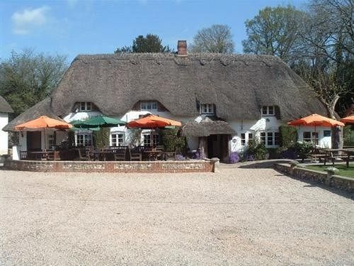 The Hatchet Inn Chute Bagian luar foto